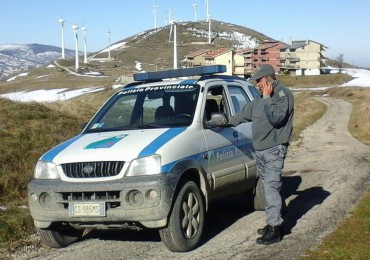 polizia provinciale