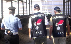 nas-carabinieri1