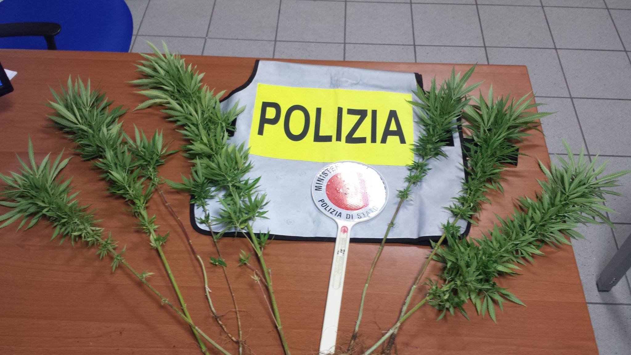 Terrorismo, individuate cellule jihadiste in Sardegna: 14 arresti in tutta Italia Terrorismo, individuate cellule jihadiste in Sardegna: 14 arresti in tutta Italia